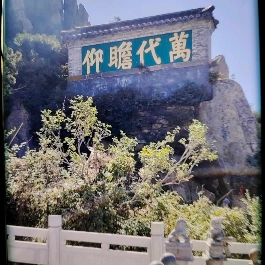 老香根③