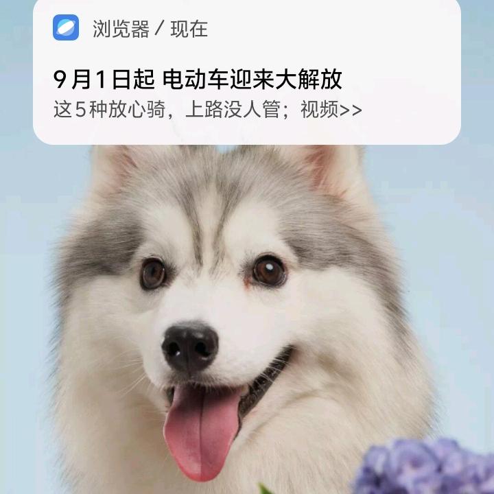 走天下