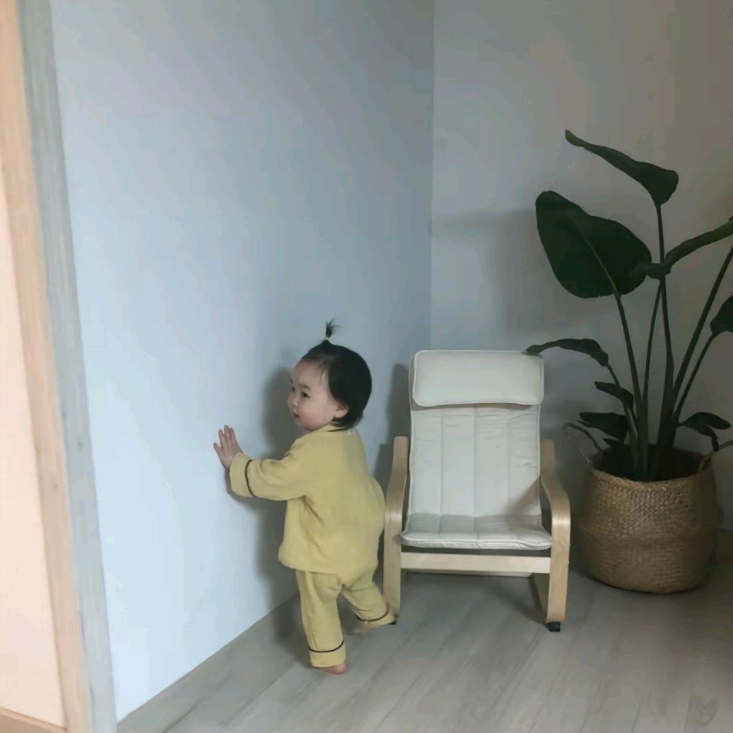 玉米总统