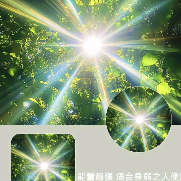 封心锁爱☞☜努力搬砖🧱