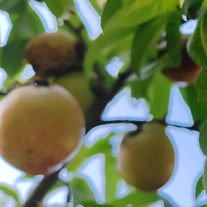 物是人非ヽ(๏~๏)ﾉ