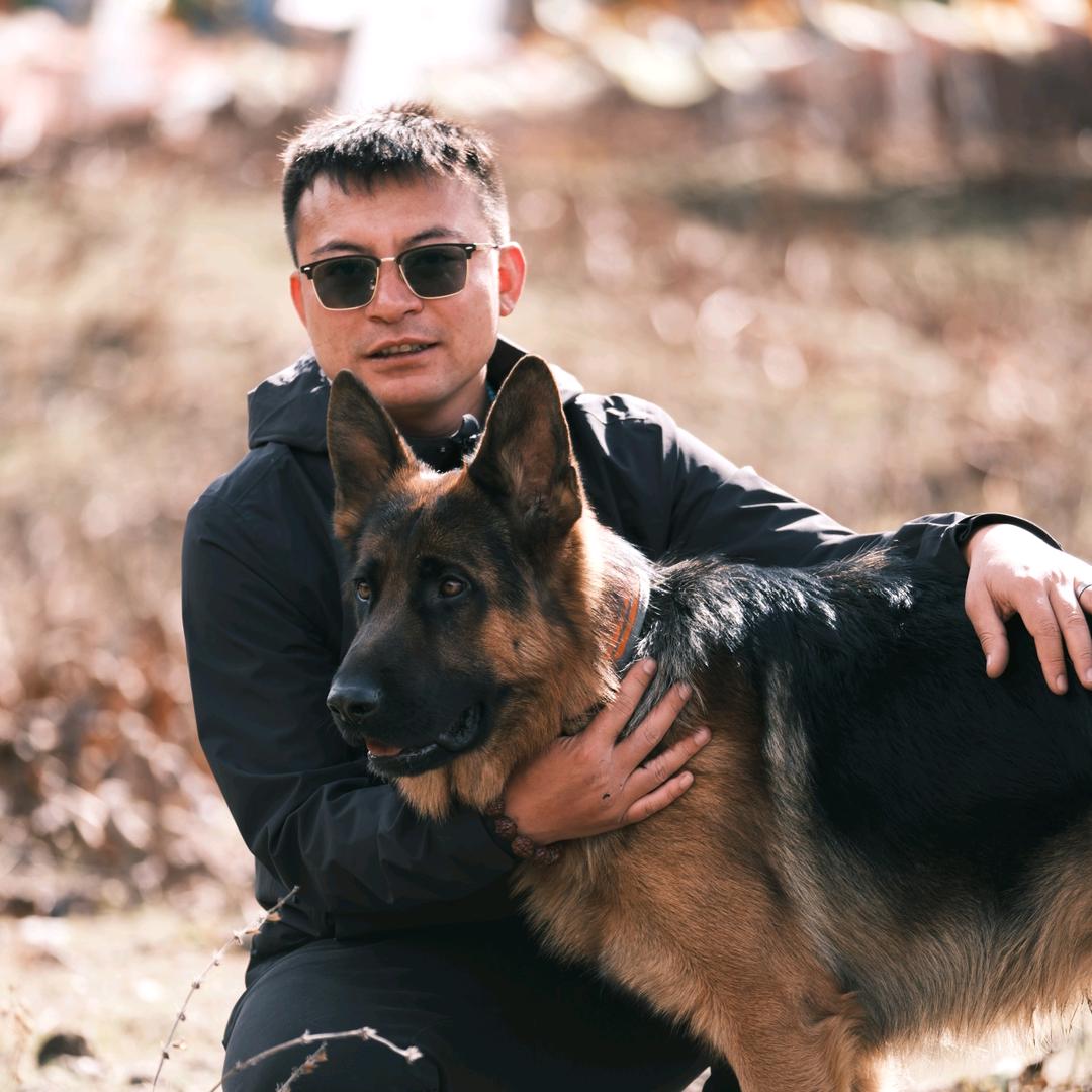 路哥在西藏@抖音