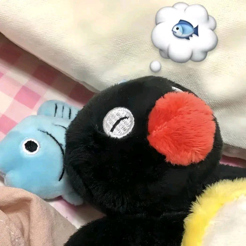 祈🐟.