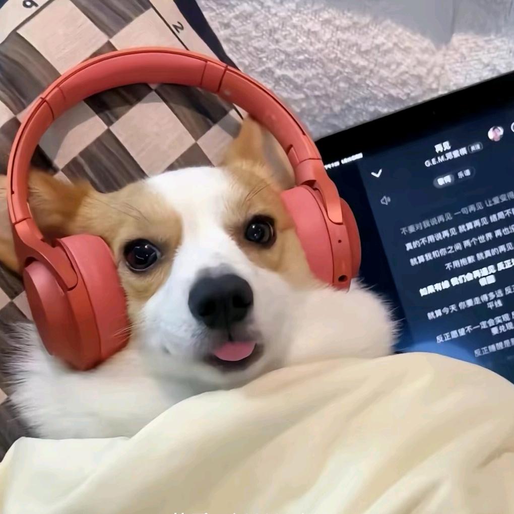 加贝贺