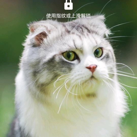 河南恒安钢结构工程有限公司