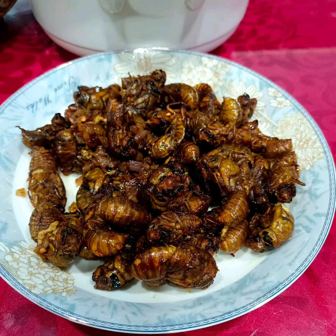 春天的太阳