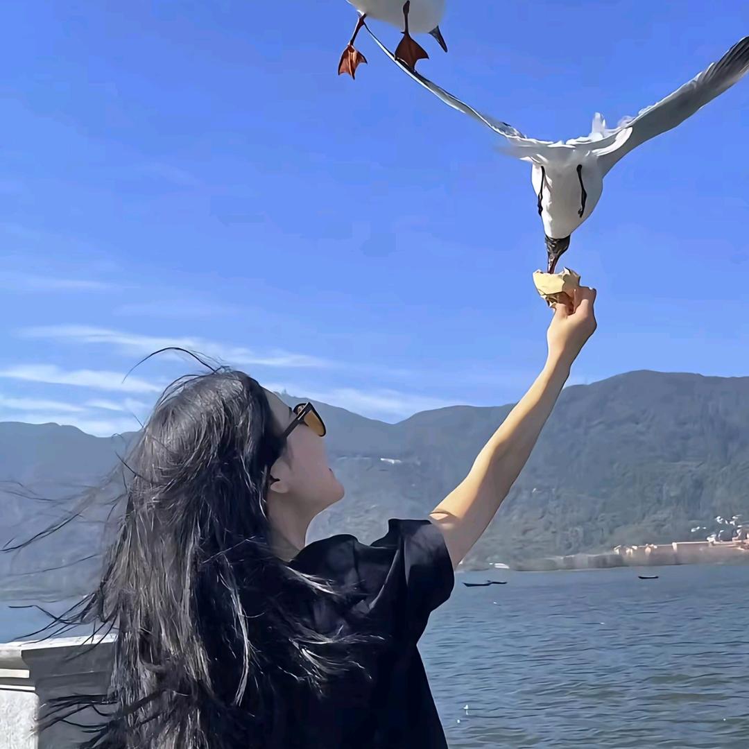 夏天甄选