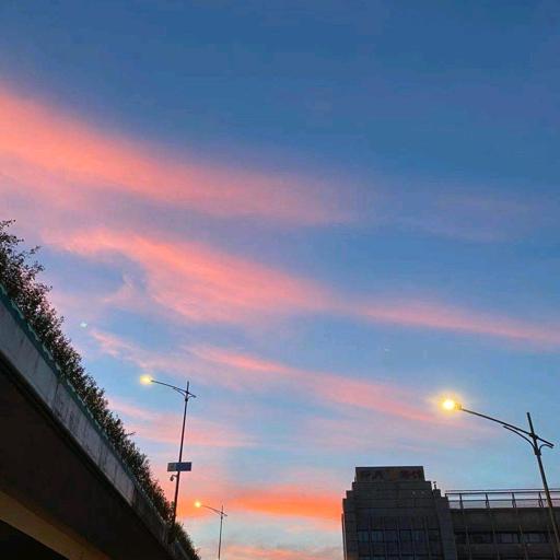 不会打乒的wwwwwwwwwww