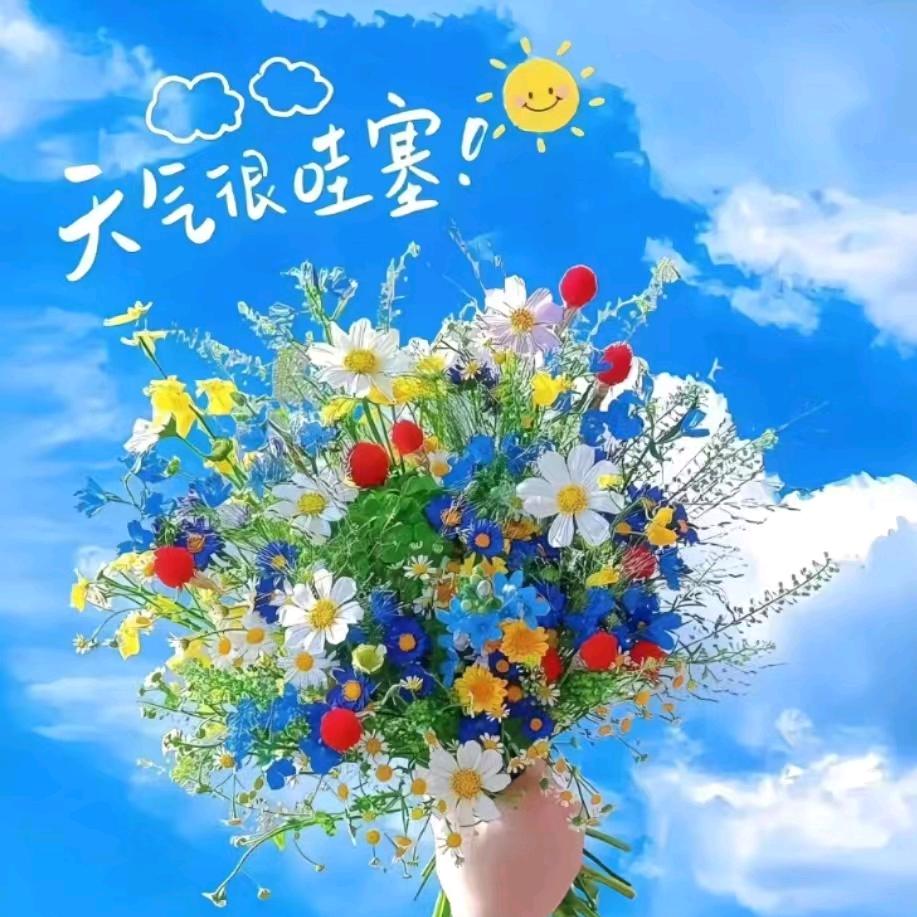 麦穗🌾