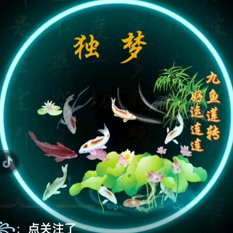 এ⁵²º᭄独✨梦⅓¼᭄এ