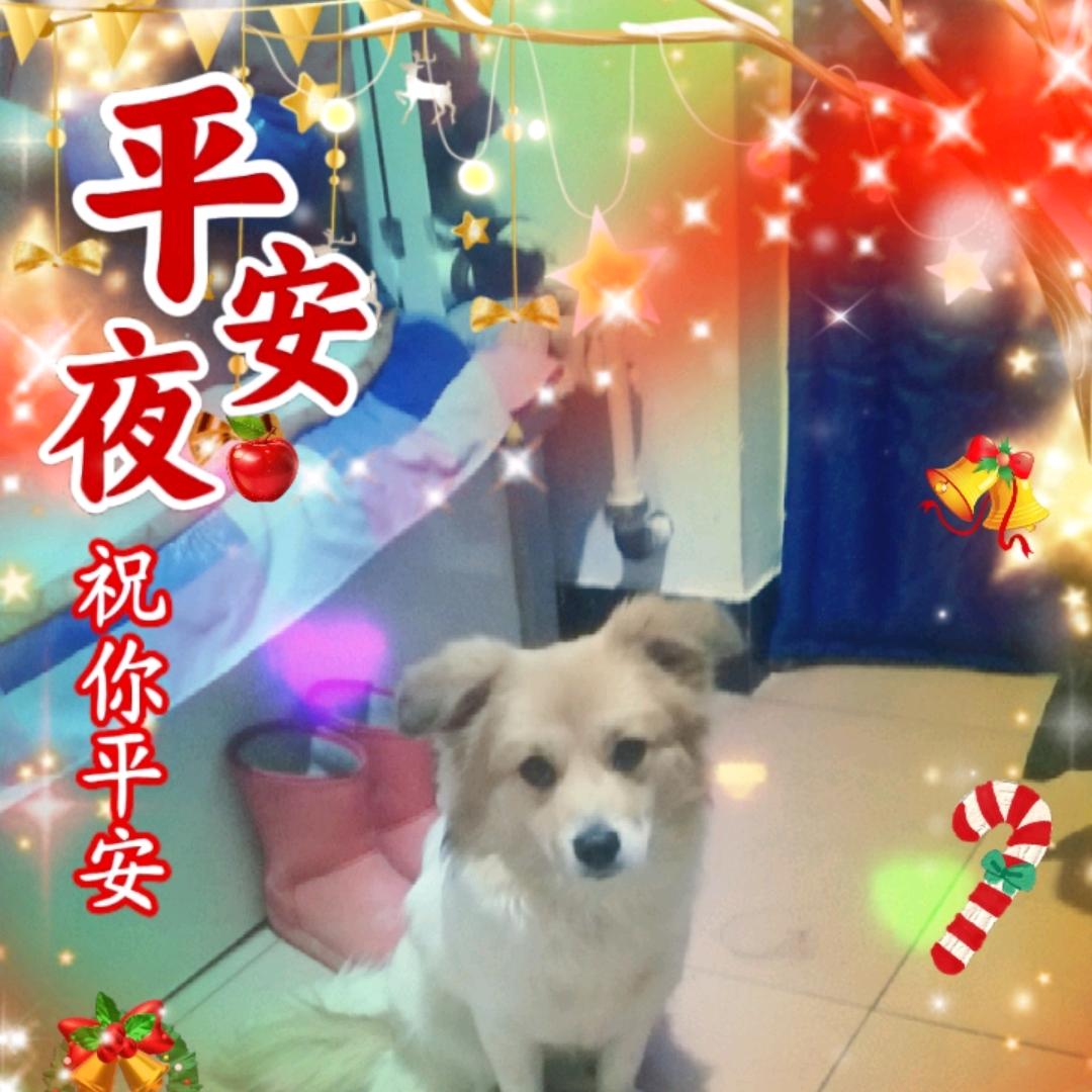 小帅哥