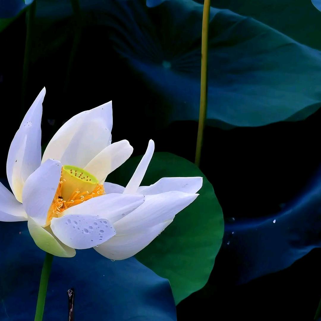 平凡的世界✍🏼