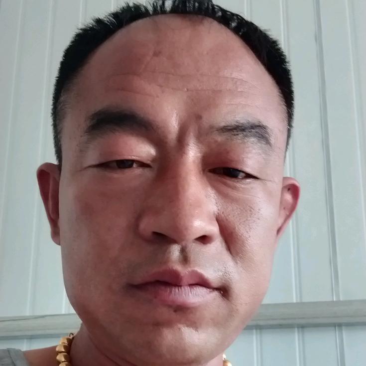 海龙