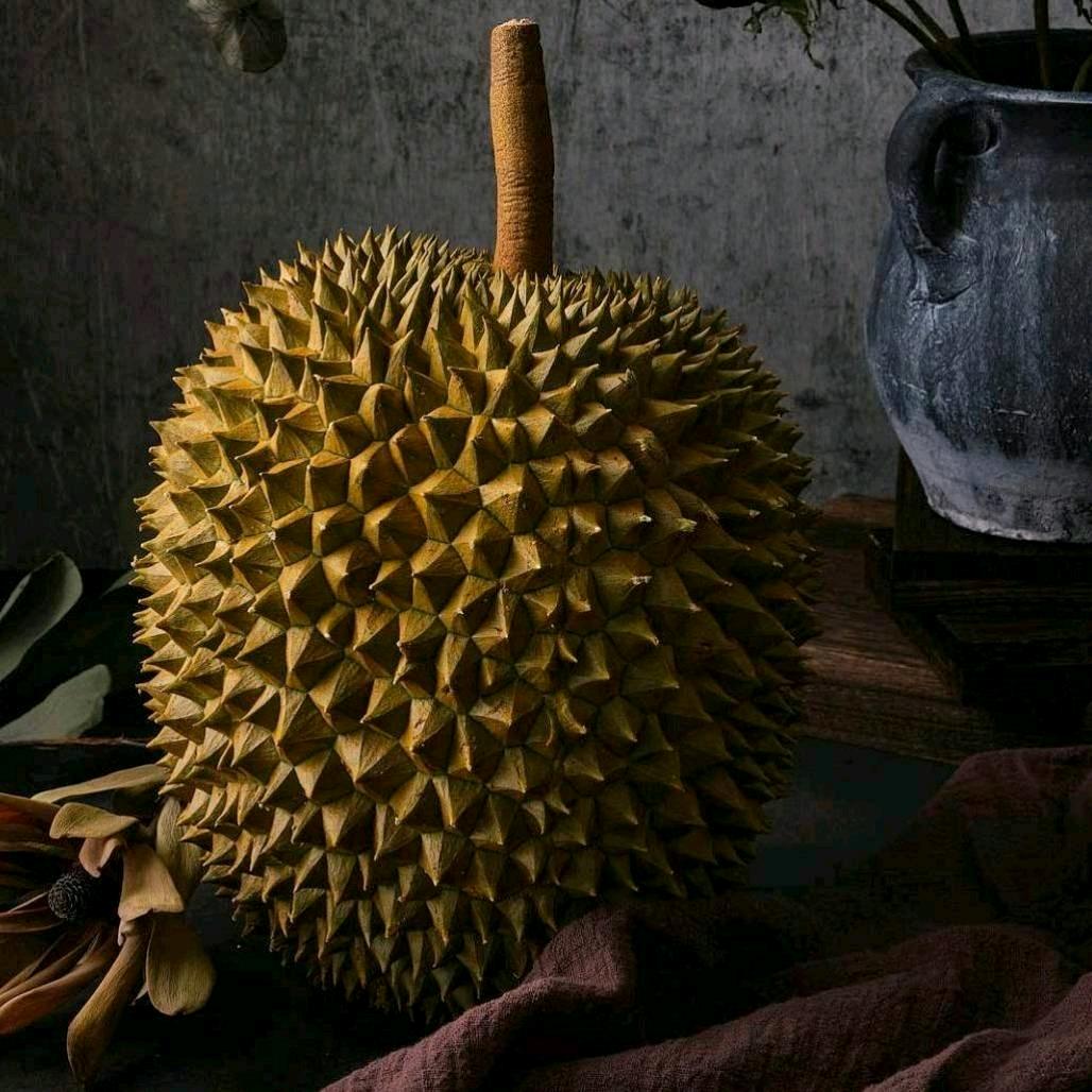 老树-优品树熟榴莲越秀