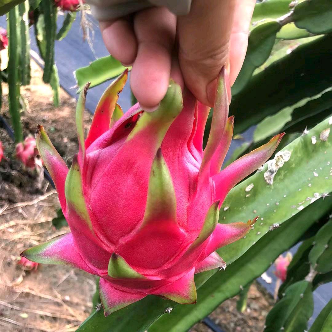 给我点时间