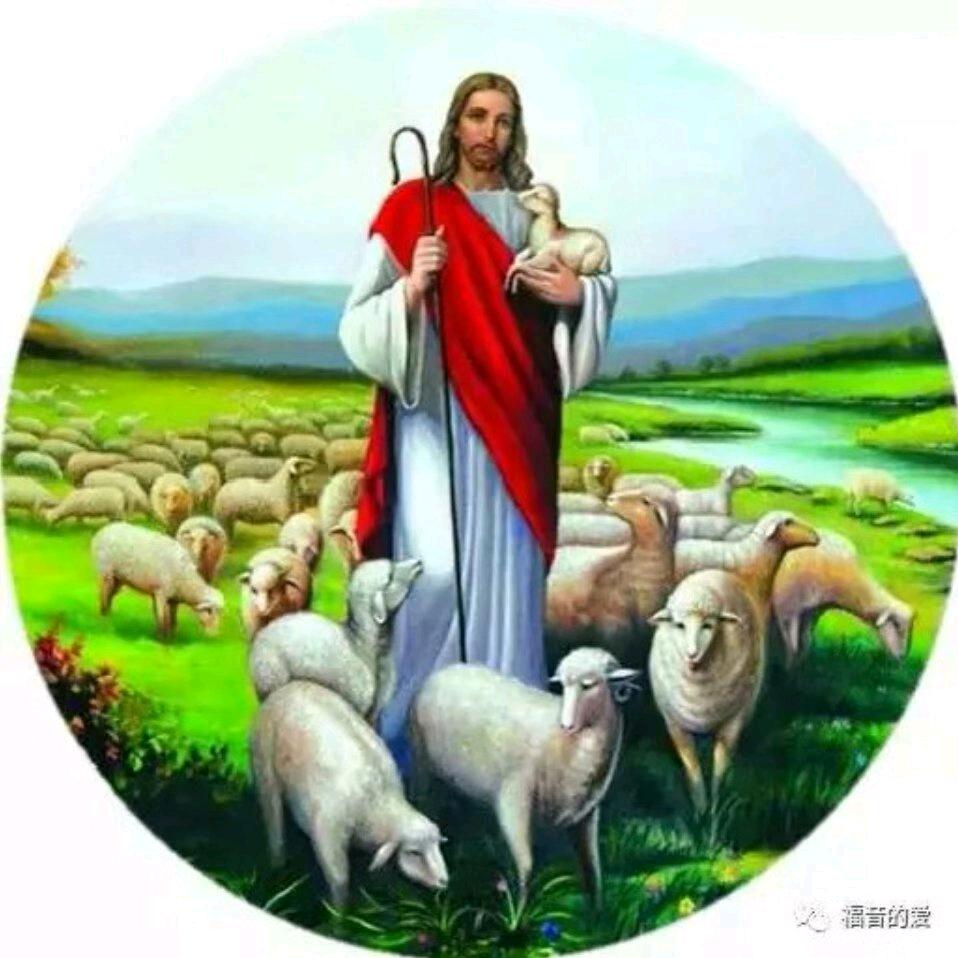 赵唤1291298851