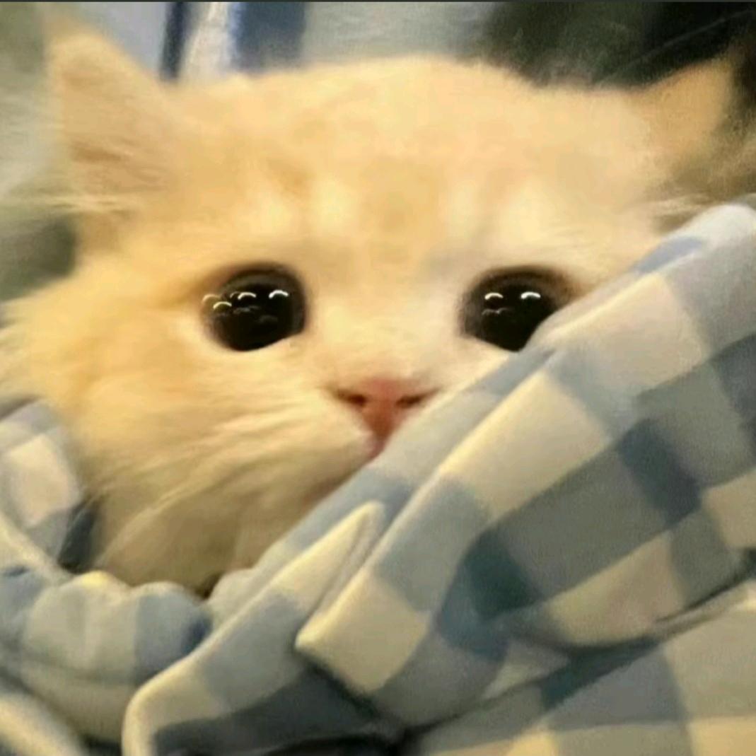 彳亍