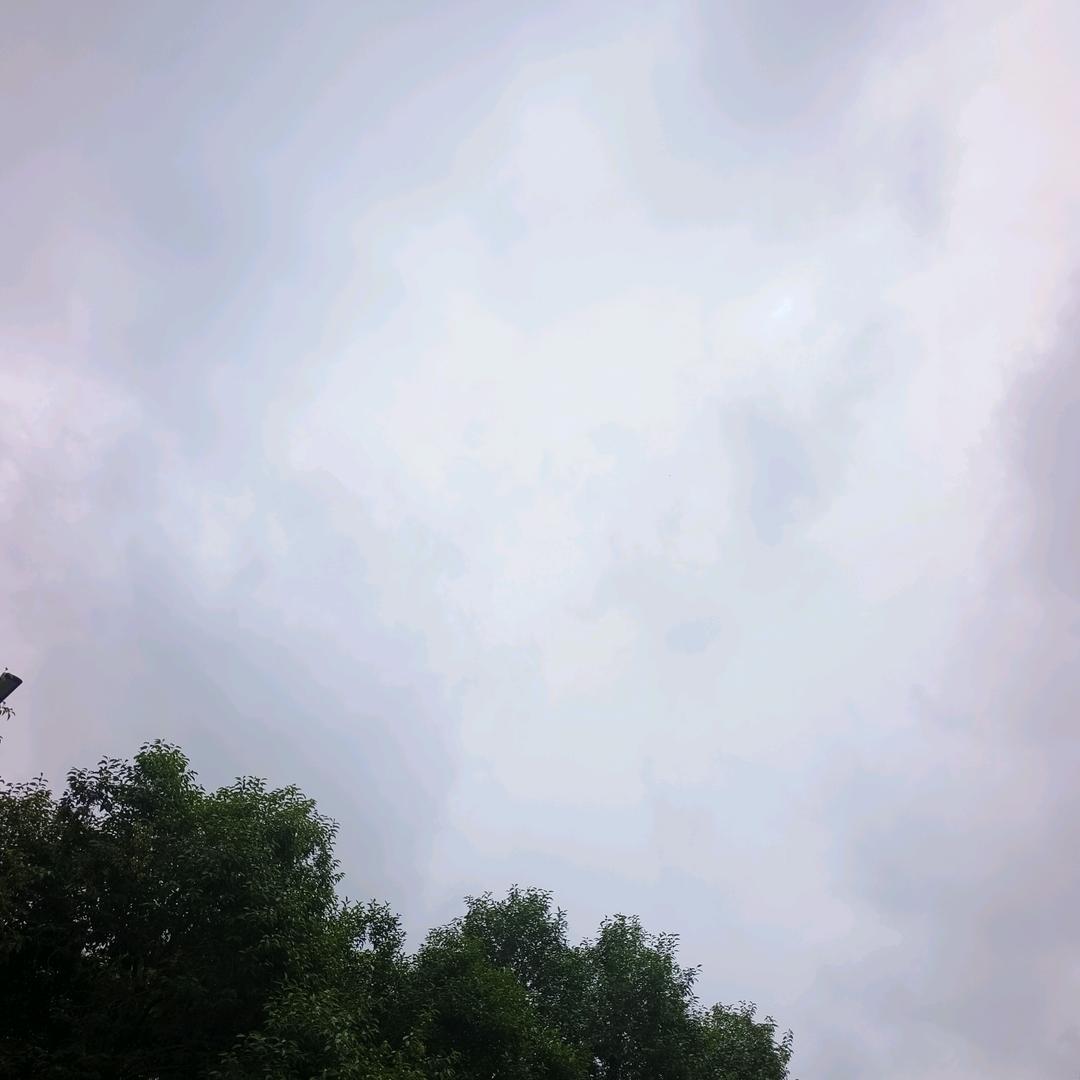 38914636212