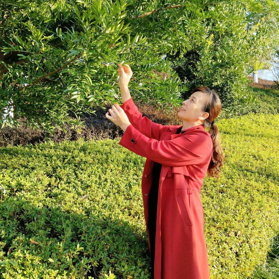 乐乐