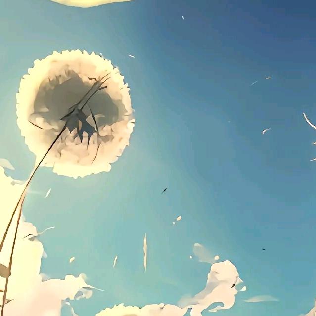 芦笋