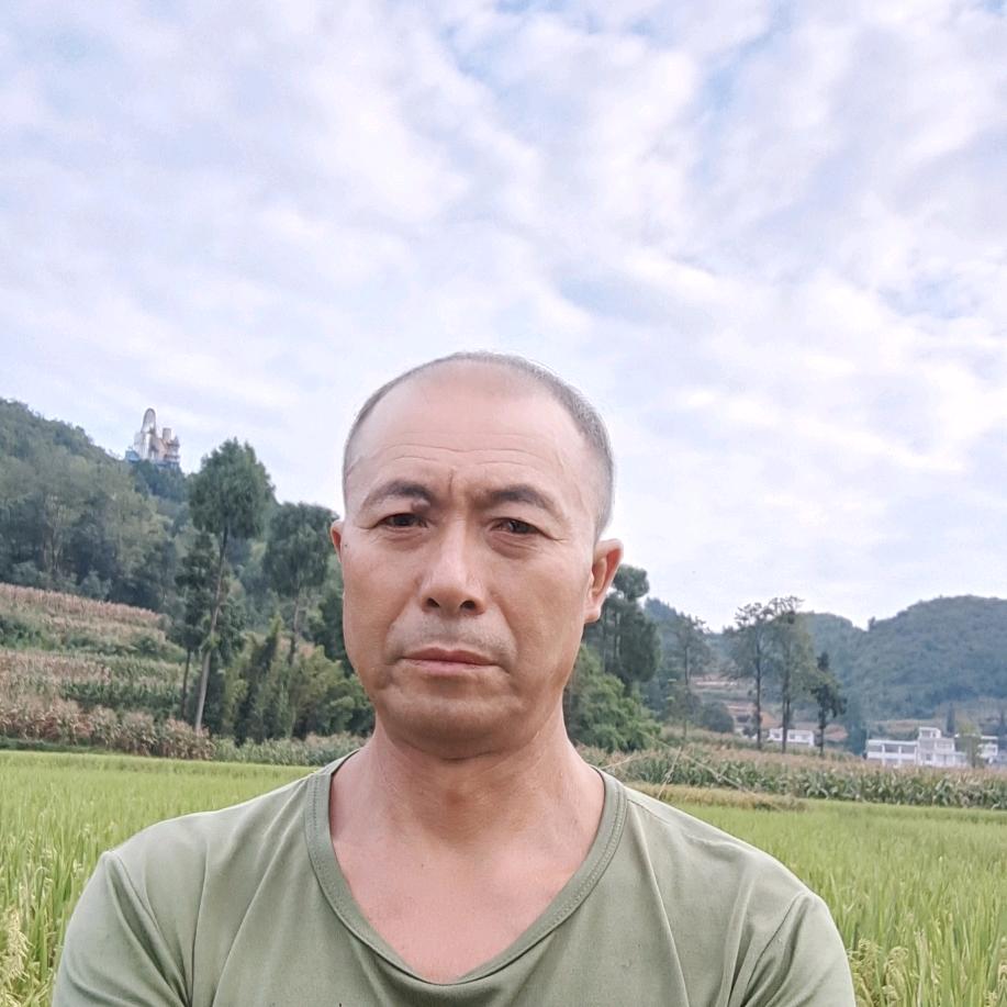 志哥
