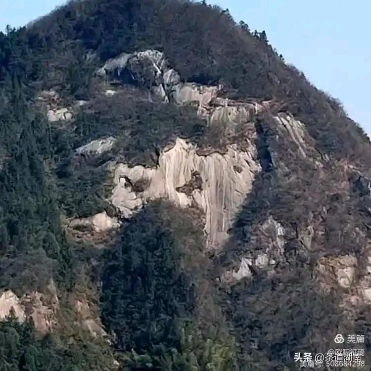 白色浪漫