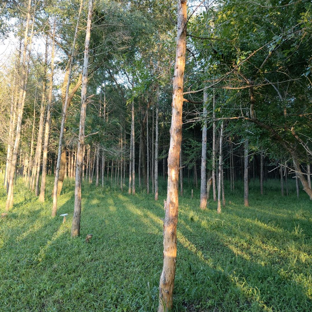 一个人过挺好