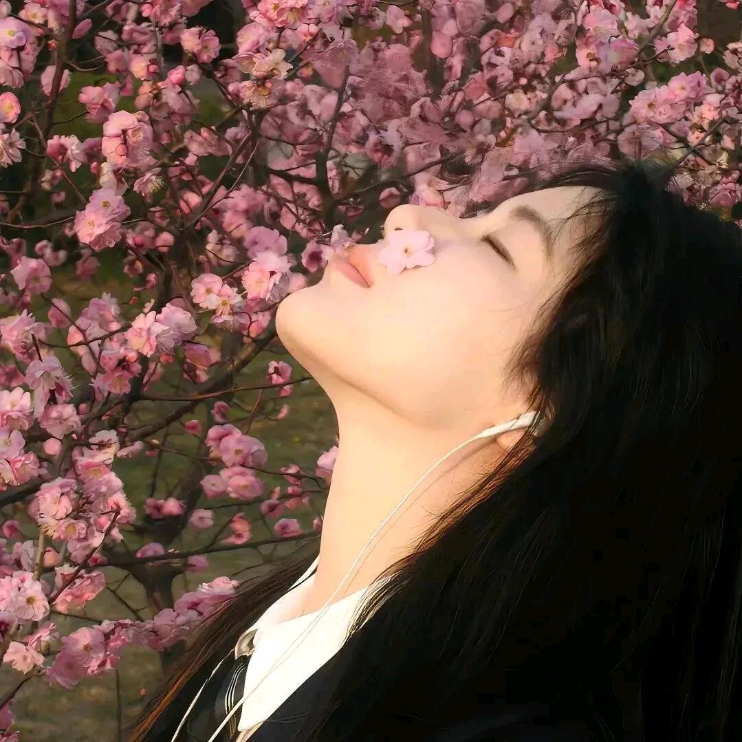 土豆