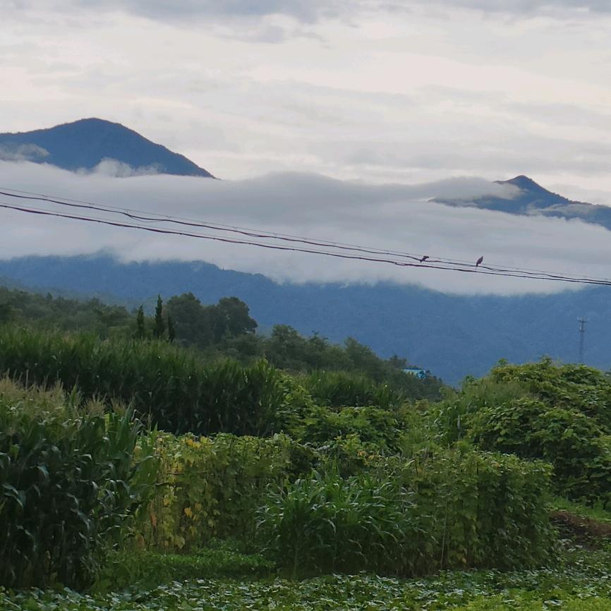 那年风月