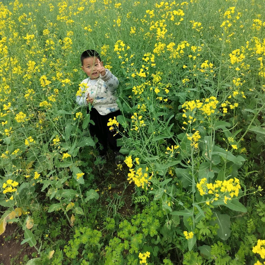 ~繁花落尽~