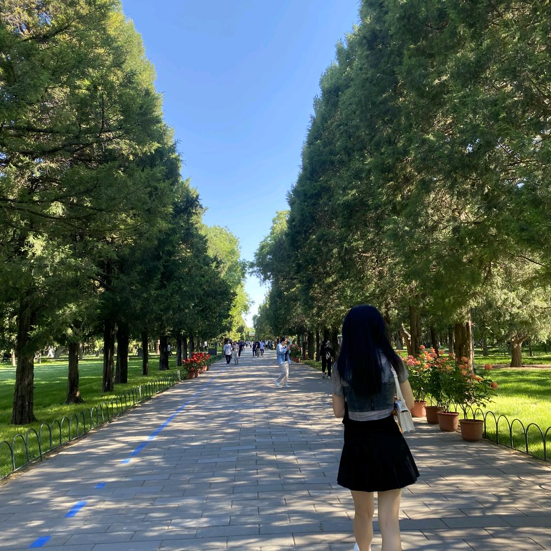 张小怂