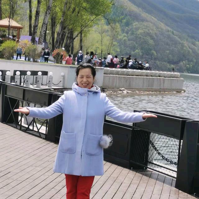 参情款款