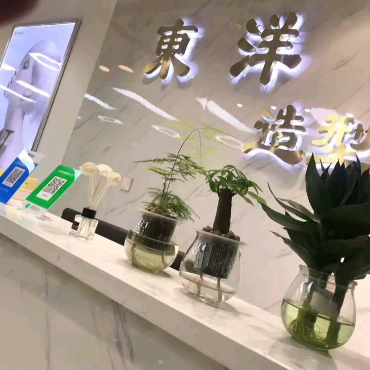 東洋造型——刘洋