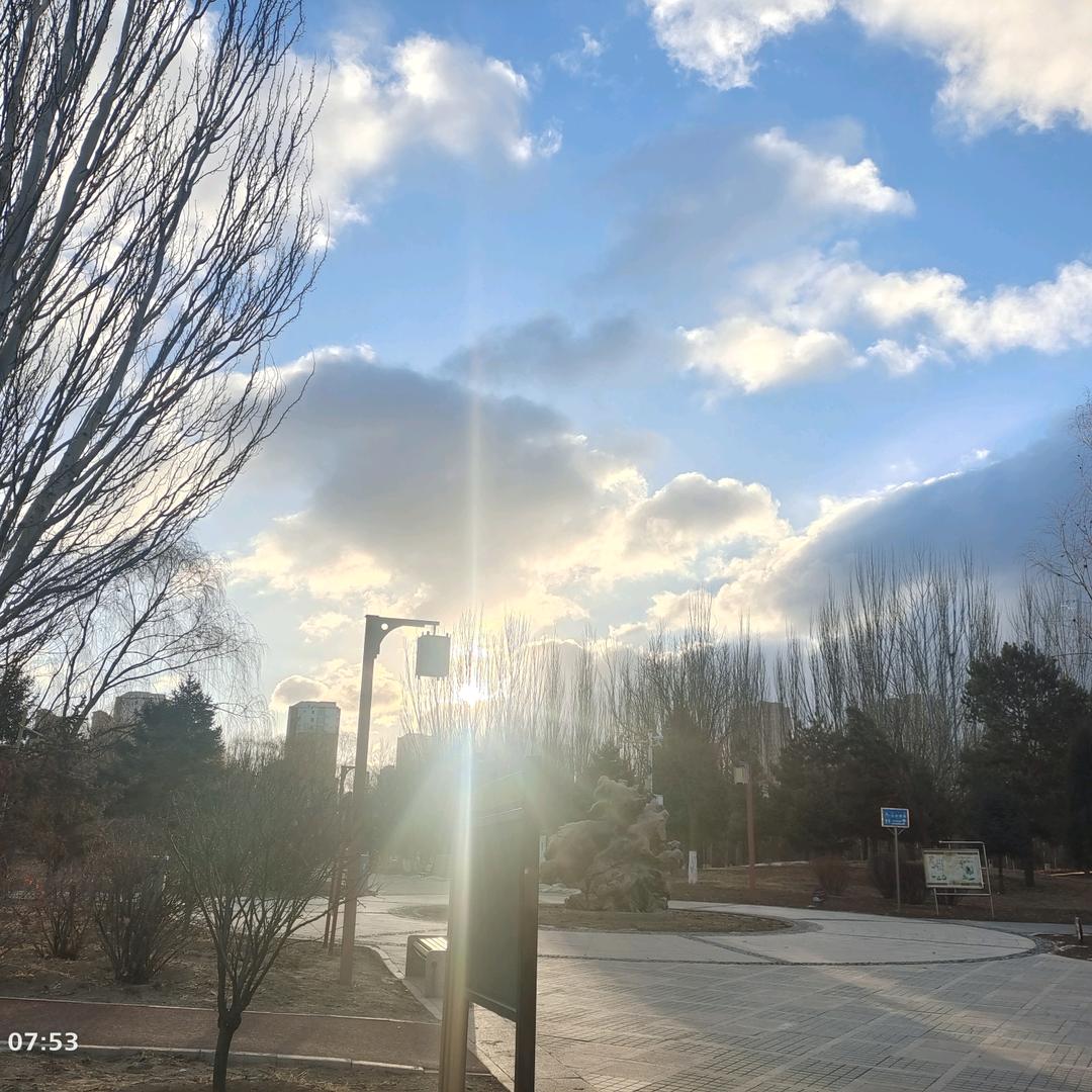 tt在努力 无畏契约版