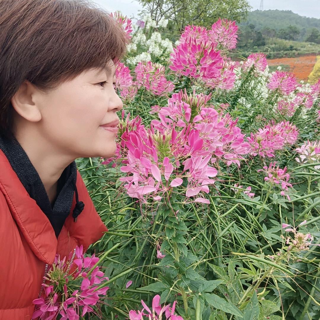 水清