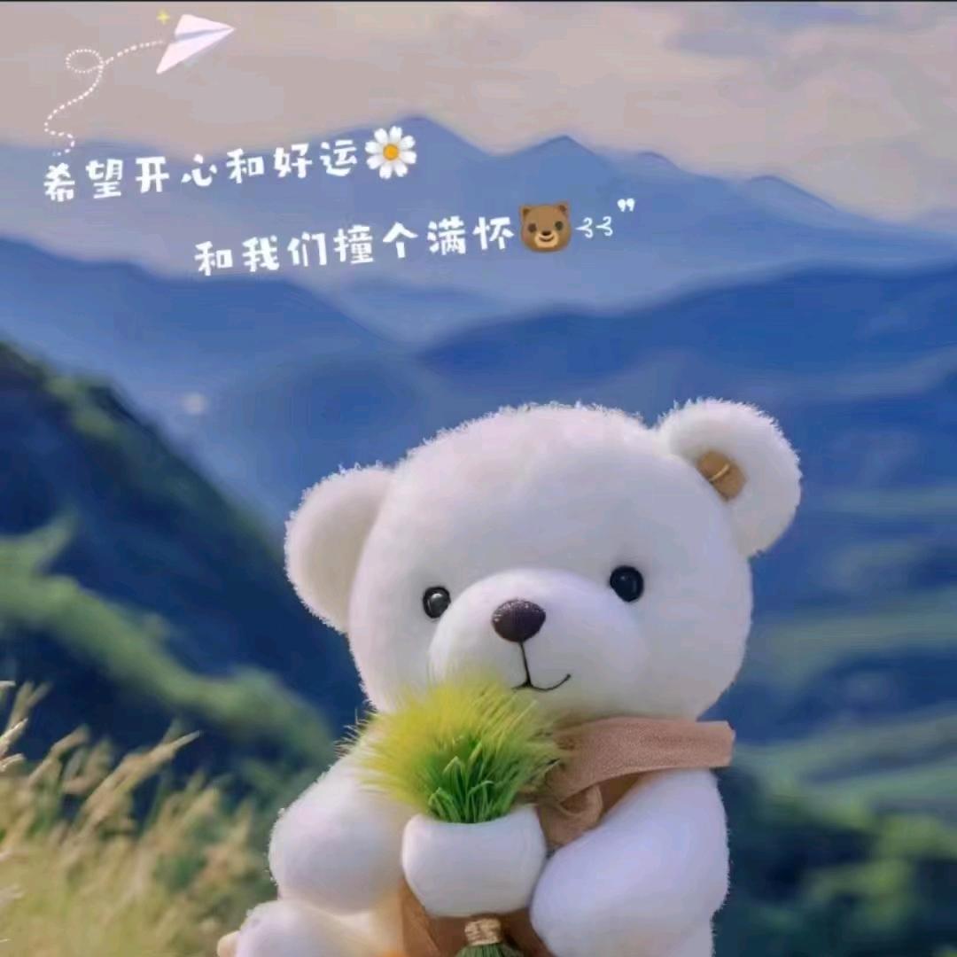 枕月听风