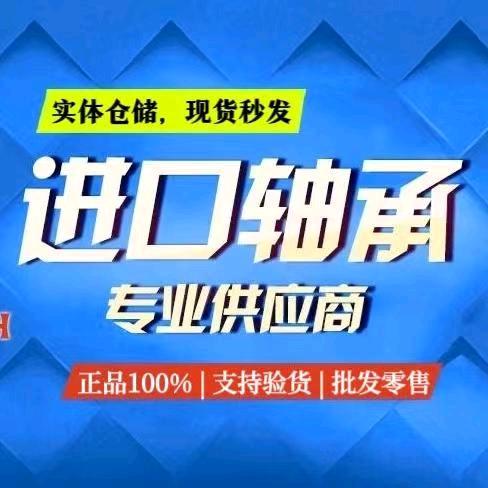 浙江斯凯孚进口轴承