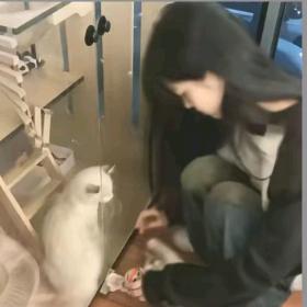 丢丢