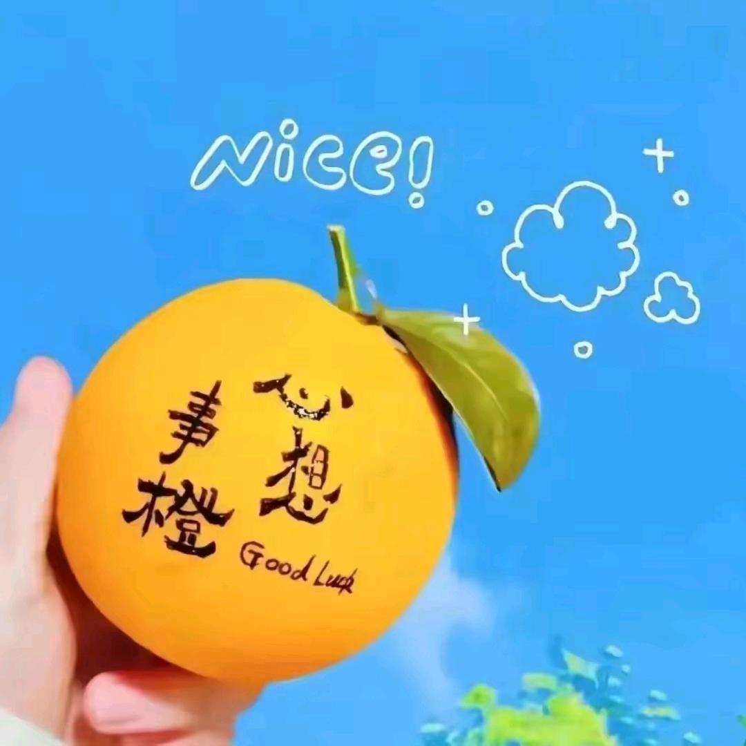 珺月