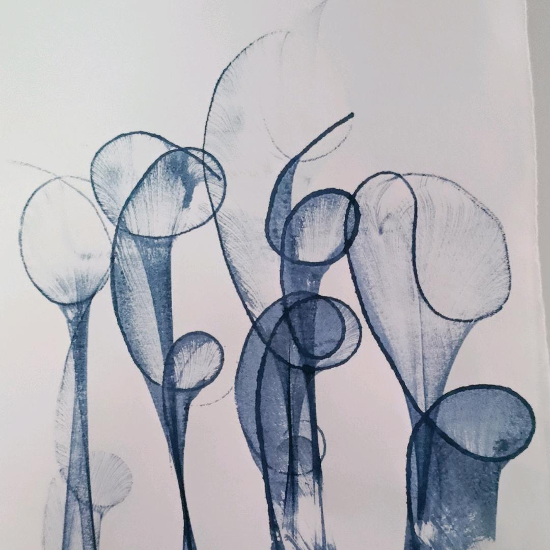 蓝桉独宠释槐鸟