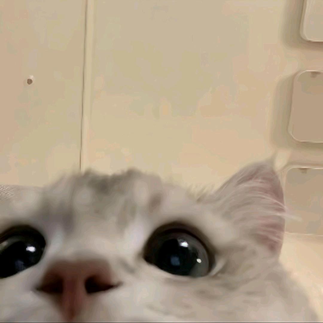 ST