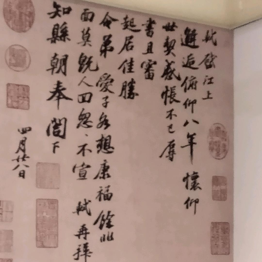梅姐16815