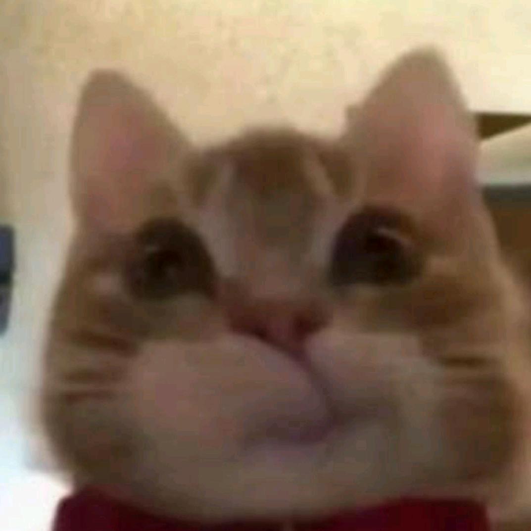 牛马豆