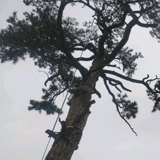 封心锁爱