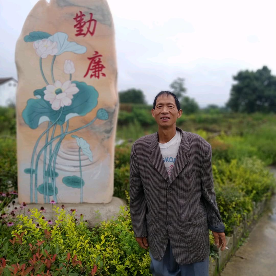 丹凤寿材（木匠周师）