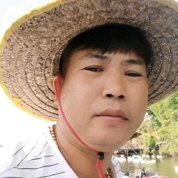 阳西金钻17凤梨场