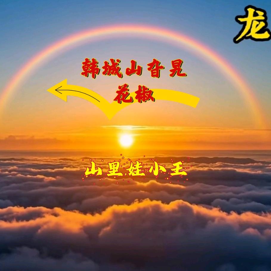 韩城山旮旯花椒（山里娃小王）
