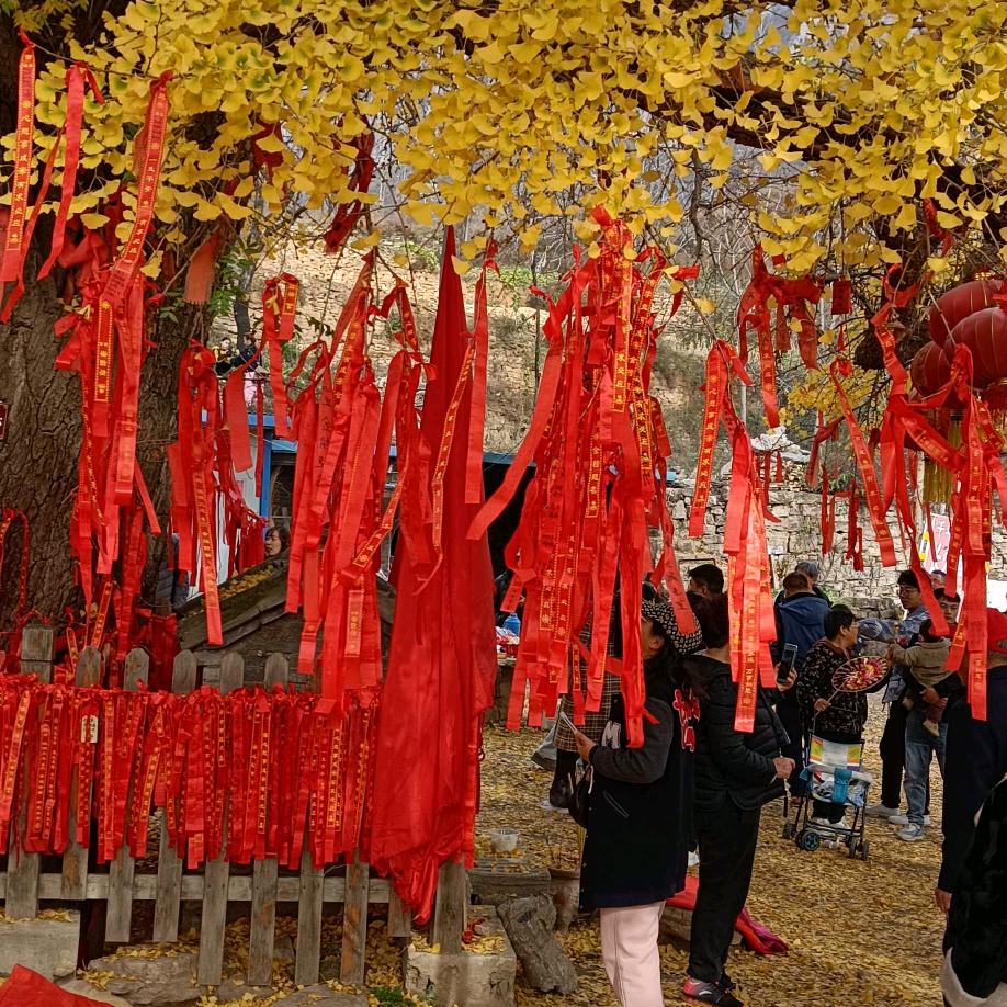 经典老歌