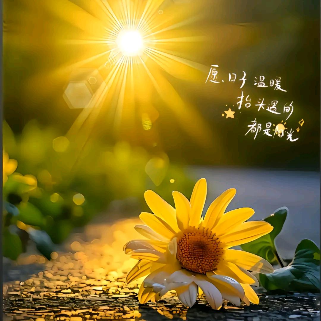 *随້࿆心້࿆.