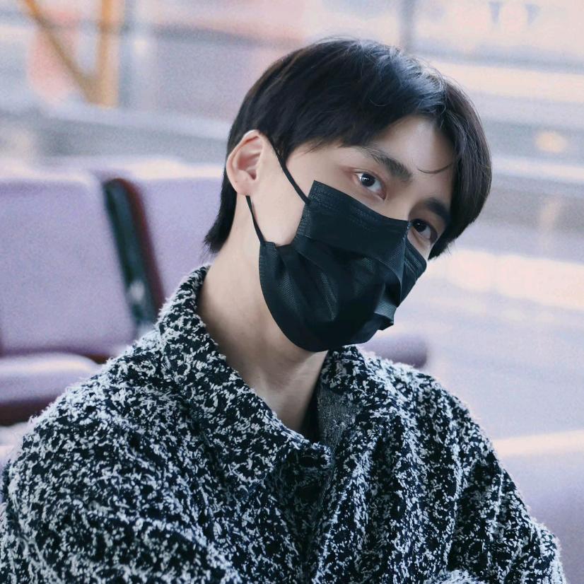 漂亮小猫一定会越来越好的_去过绿海版🐝